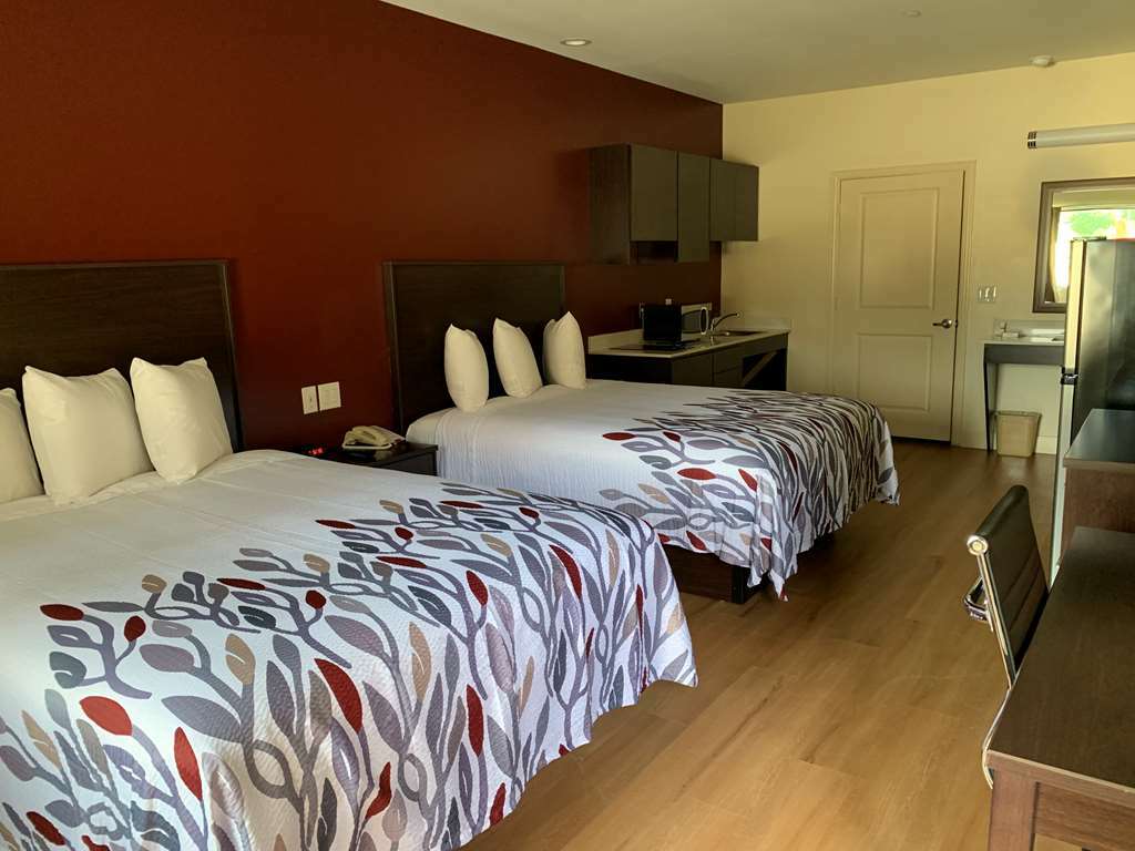 Louetta Red Roof Inn Houston - Willowbrook חדר תמונה